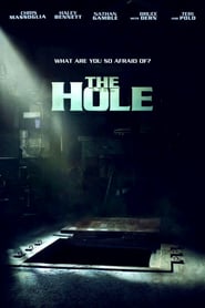 The Hole (2009)