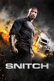 Snitch (2013)