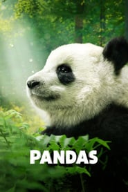 Pandas (2018)